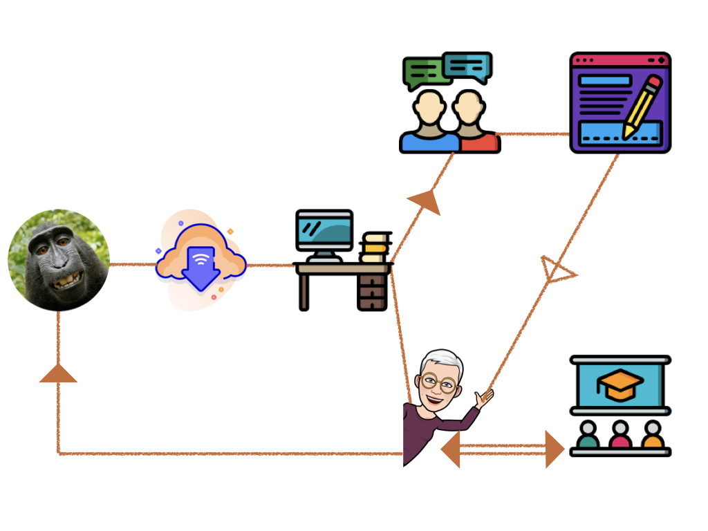 Recertification Flowchart in 4 Steps