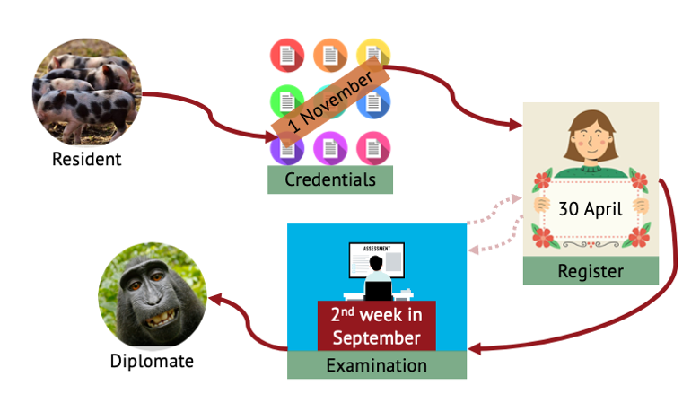 Exam Process