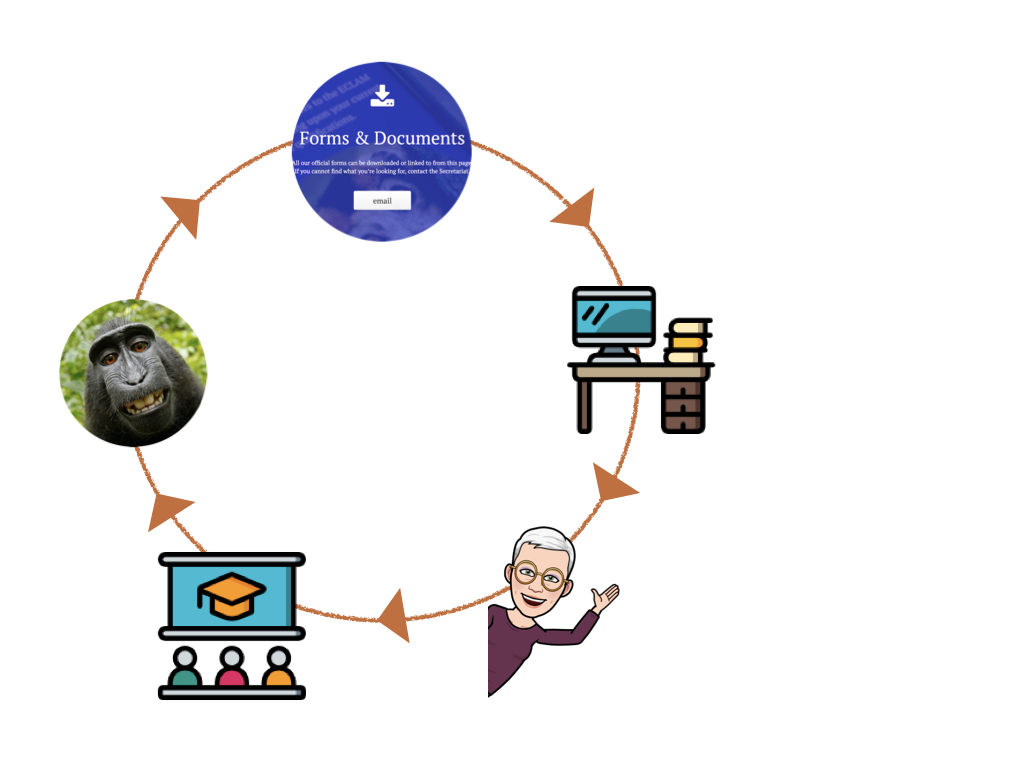 Recertification Flowchart in 4 Steps